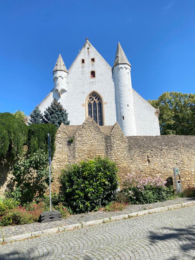 Villa Haeuschen Am Plenzer Ingelheim am Rhein Exterior foto