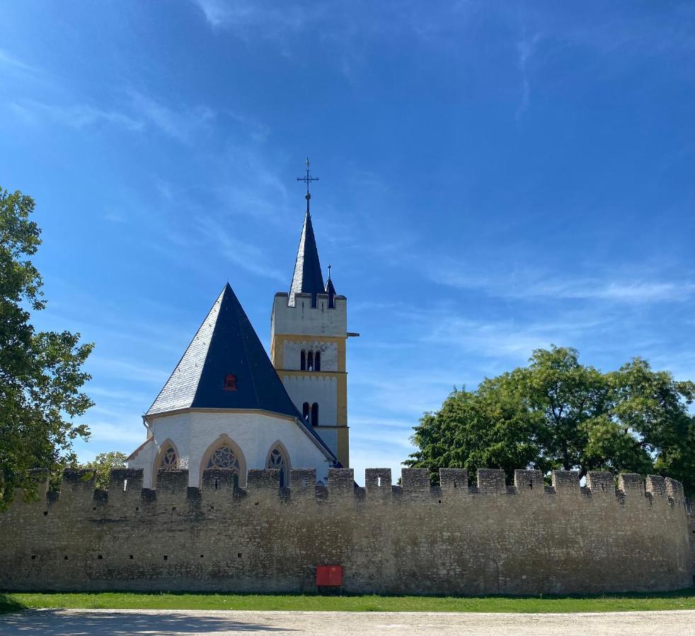 Villa Haeuschen Am Plenzer Ingelheim am Rhein Exterior foto