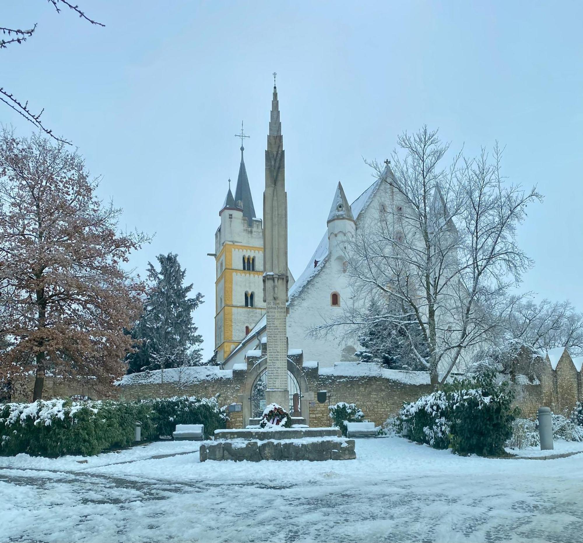 Villa Haeuschen Am Plenzer Ingelheim am Rhein Exterior foto