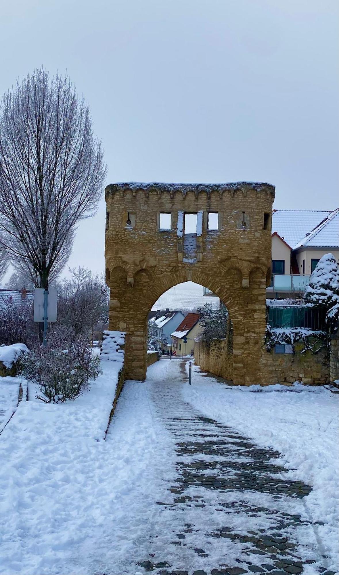 Villa Haeuschen Am Plenzer Ingelheim am Rhein Exterior foto